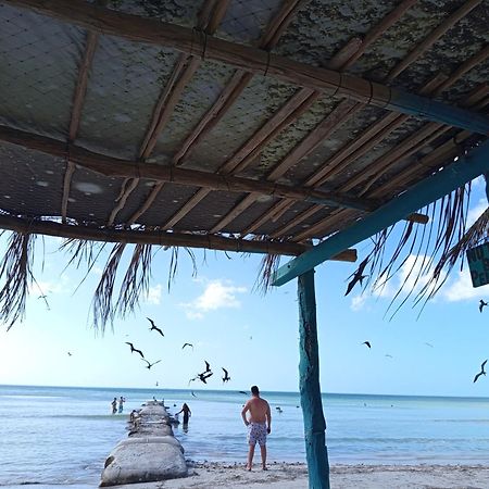 Mi Habitat Holbox-Maravilla Natural 외부 사진