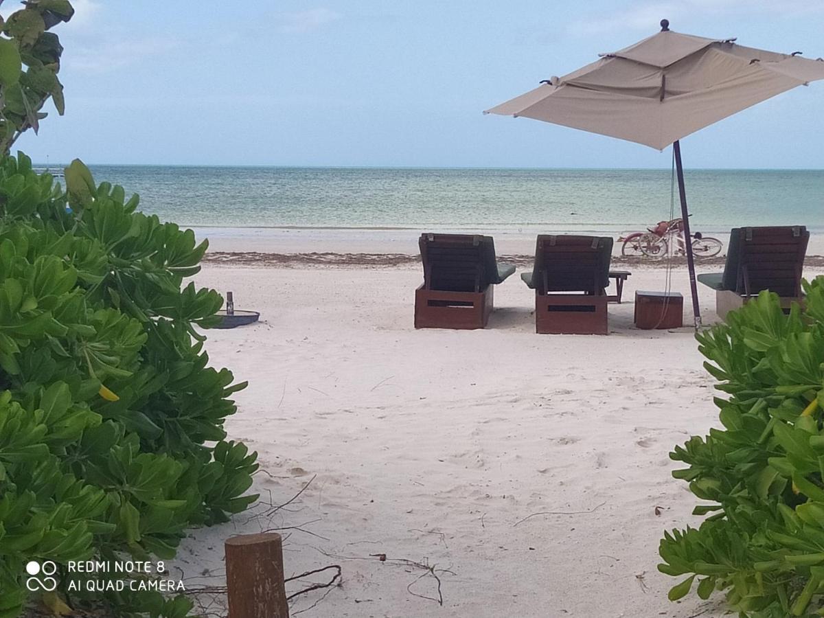Mi Habitat Holbox-Maravilla Natural 외부 사진