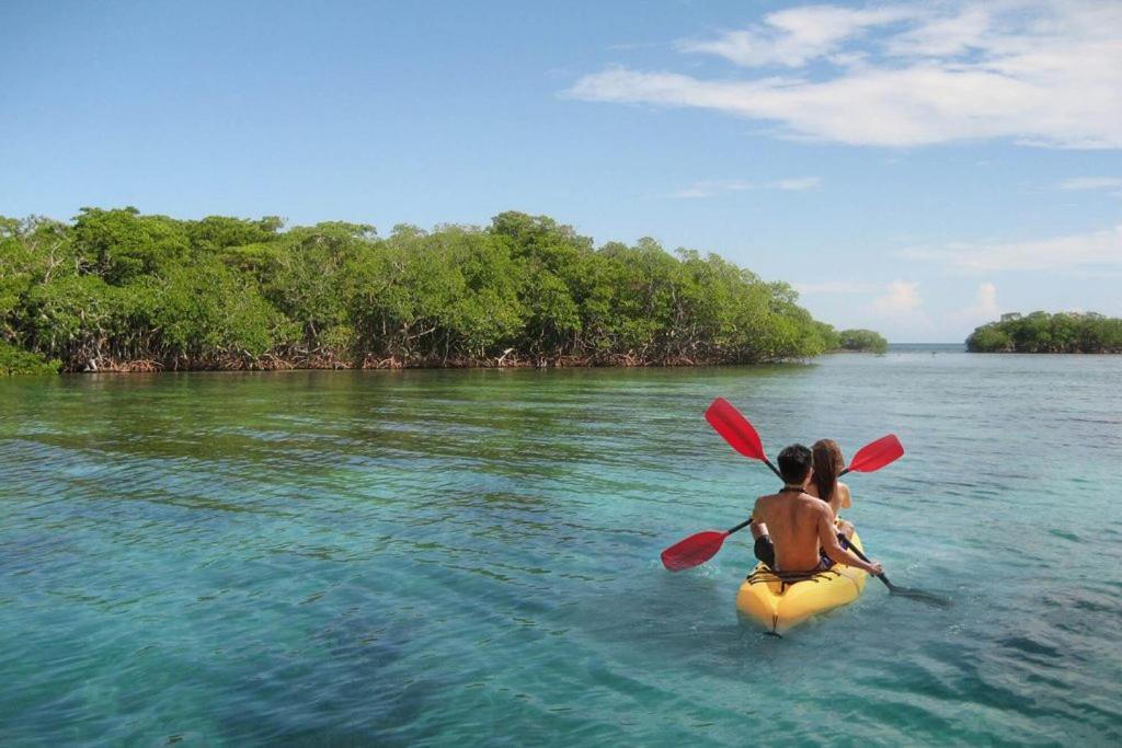 Mi Habitat Holbox-Maravilla Natural 외부 사진