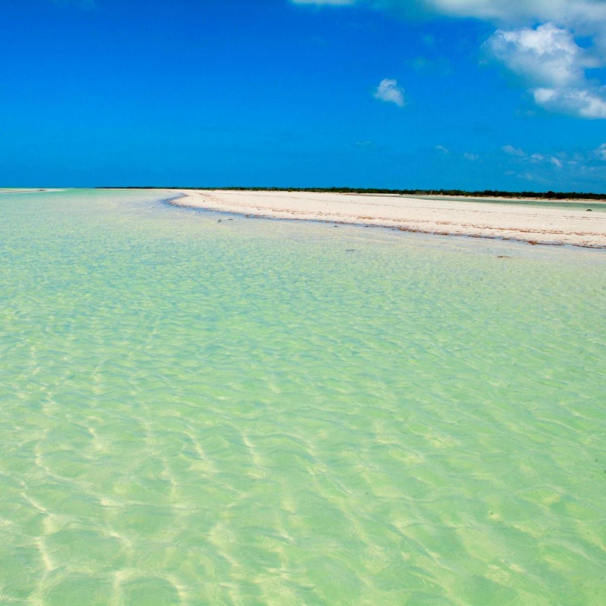 Mi Habitat Holbox-Maravilla Natural 외부 사진
