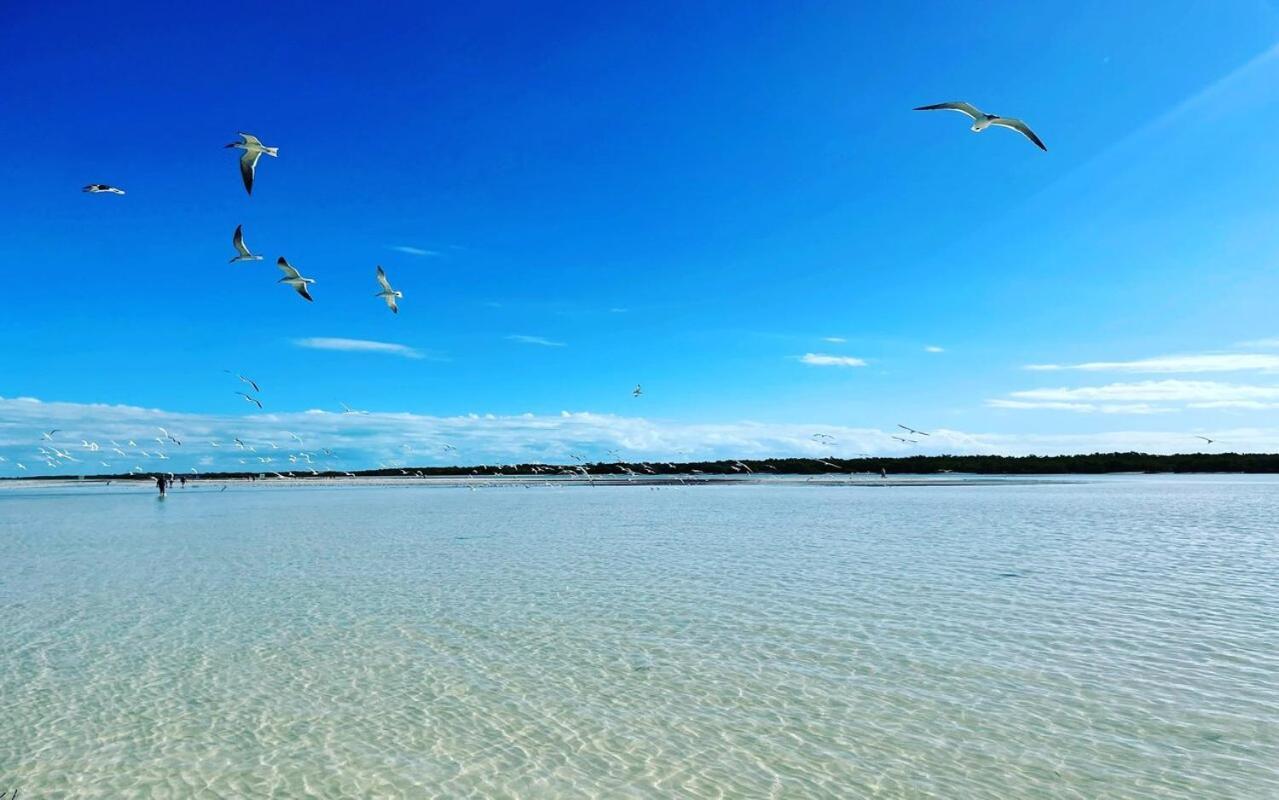 Mi Habitat Holbox-Maravilla Natural 외부 사진