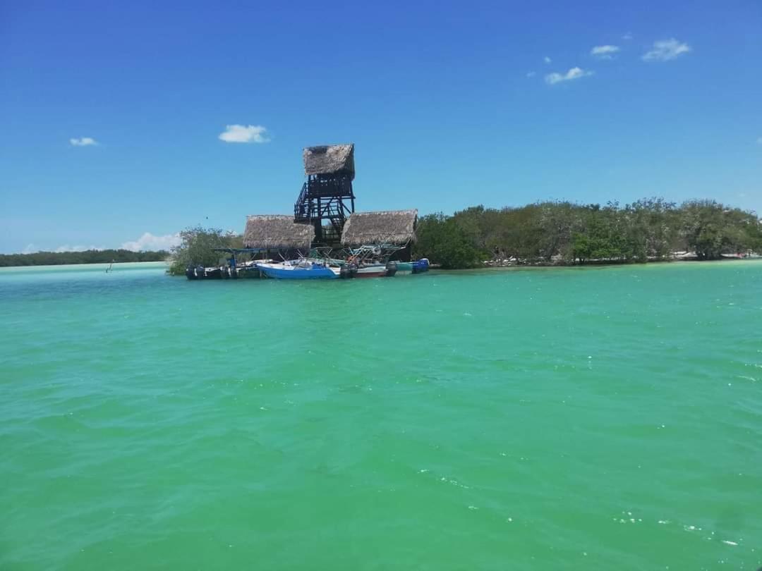 Mi Habitat Holbox-Maravilla Natural 외부 사진