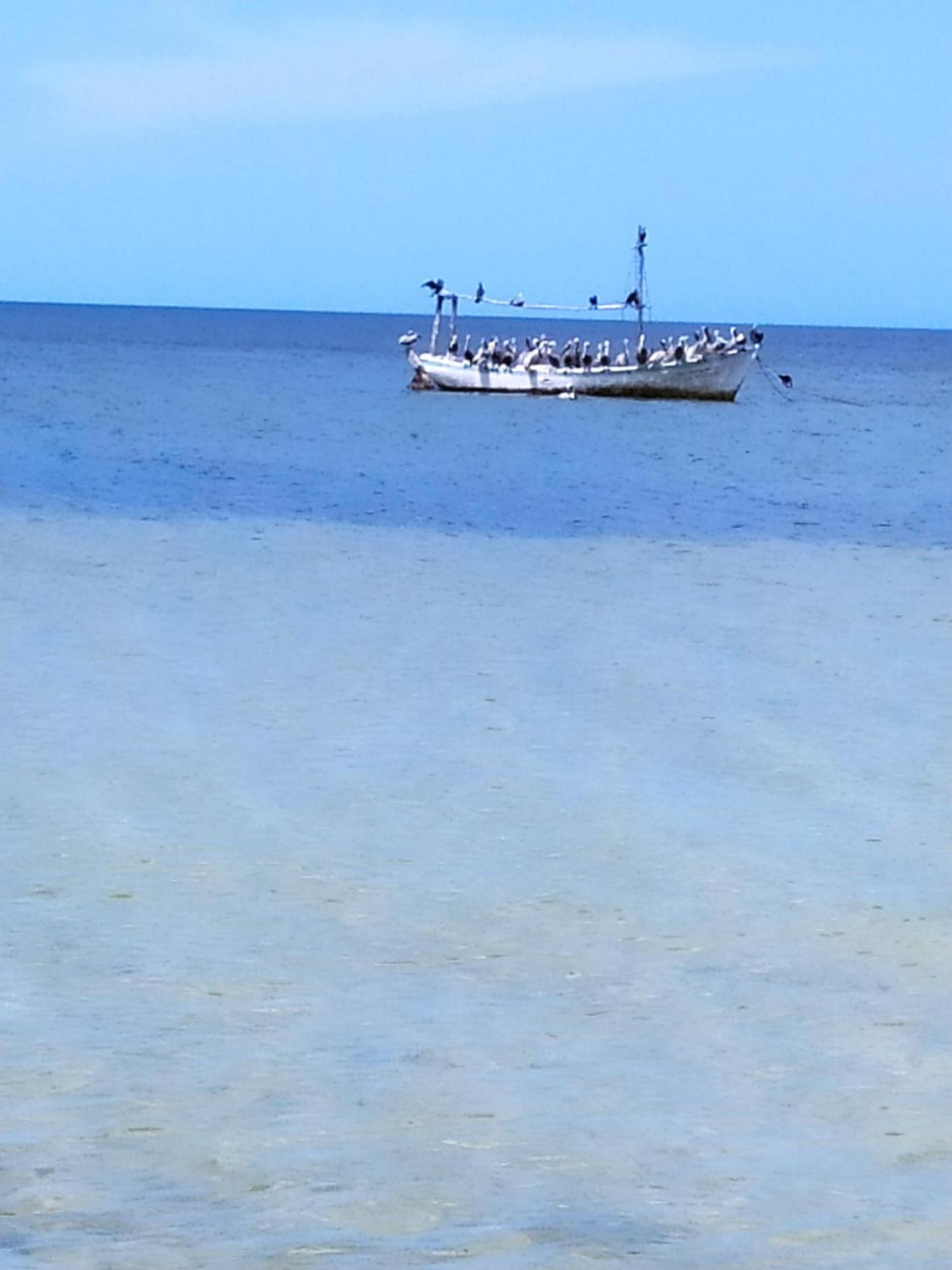 Mi Habitat Holbox-Maravilla Natural 외부 사진