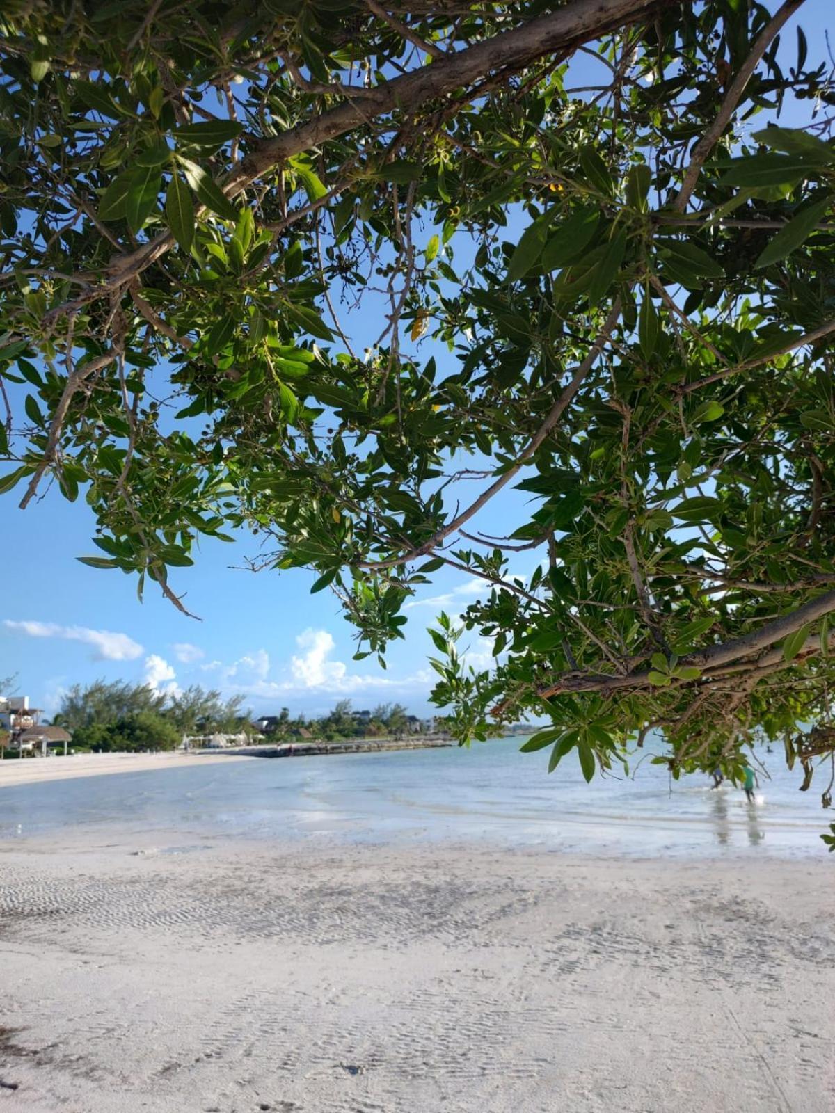Mi Habitat Holbox-Maravilla Natural 외부 사진