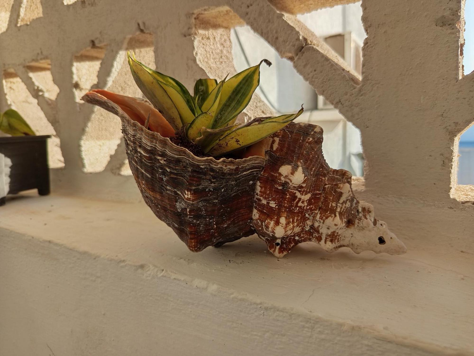Mi Habitat Holbox-Maravilla Natural 외부 사진