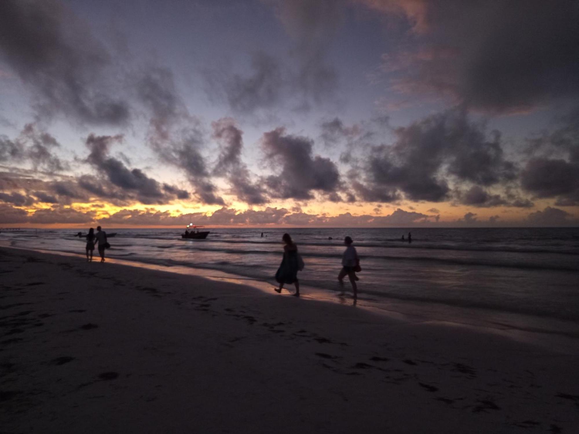 Mi Habitat Holbox-Maravilla Natural 외부 사진