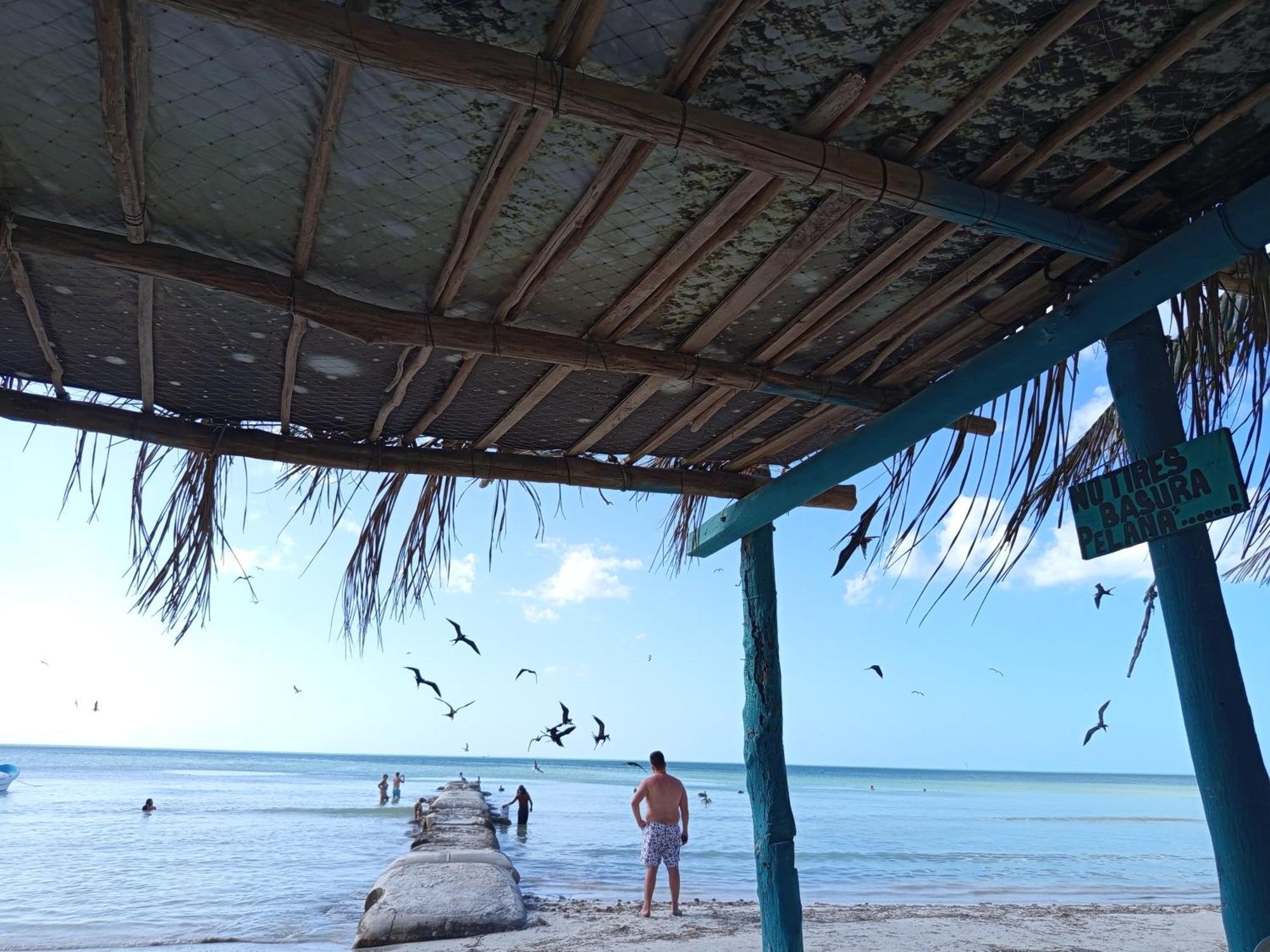 Mi Habitat Holbox-Maravilla Natural 외부 사진
