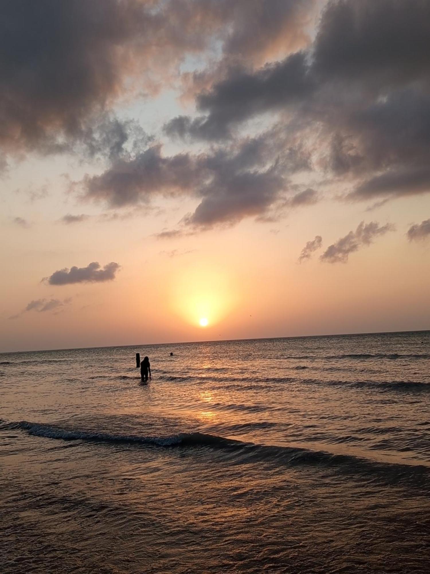 Mi Habitat Holbox-Maravilla Natural 외부 사진